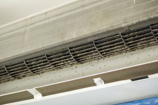 Best HVAC Maintenance and Cleaning  in East York, PA